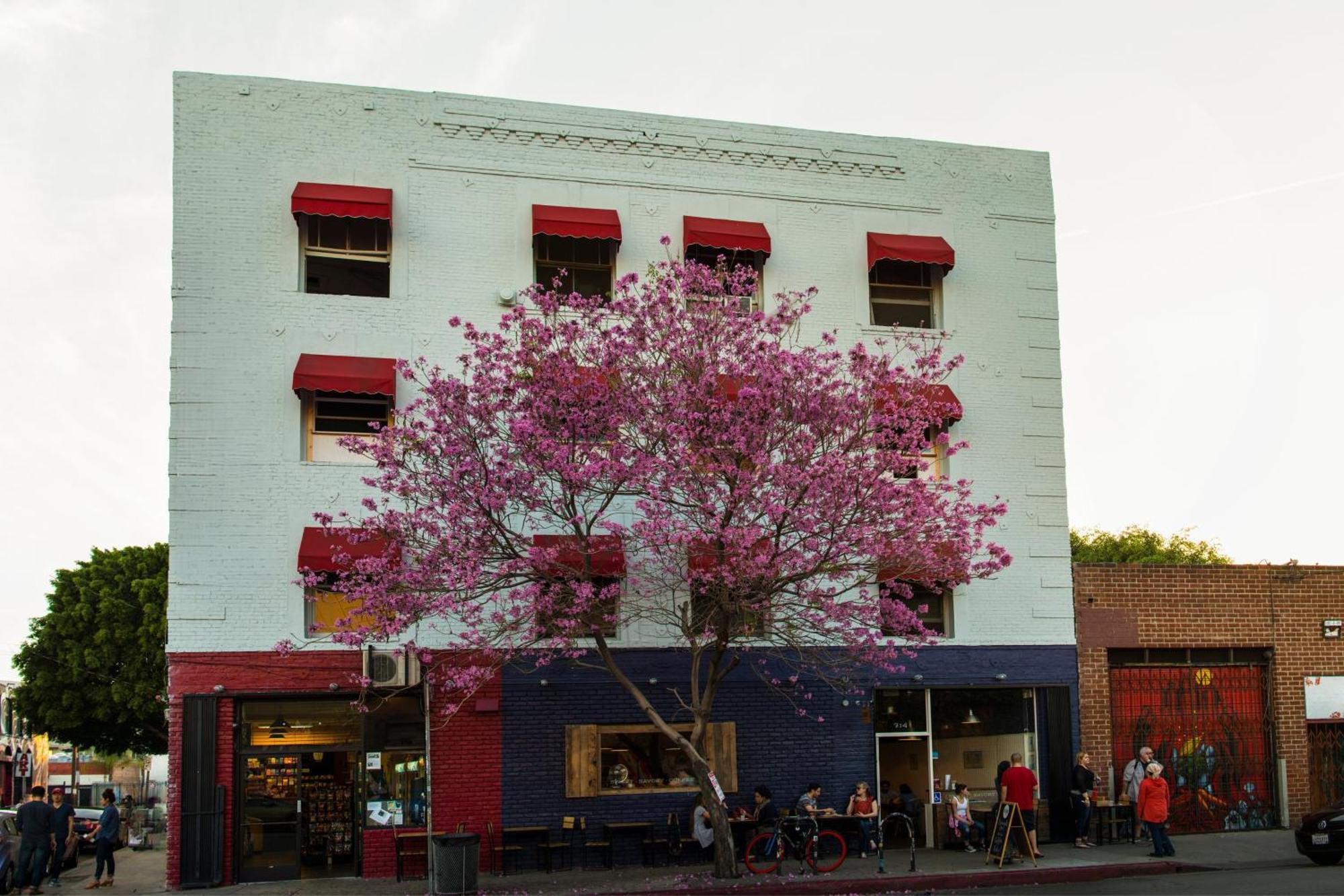 American Hotel — Photos 2